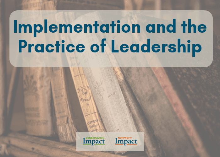 Implementation and the Practice of Leadership