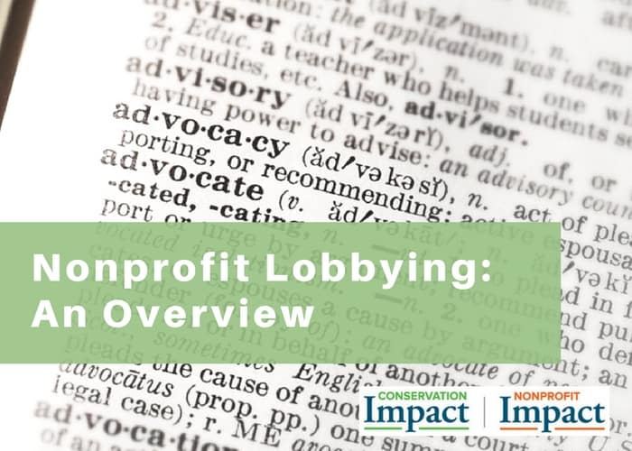 lobbying advocacy
