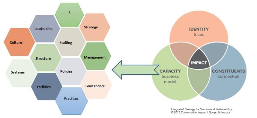 Capacity building graphic
